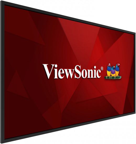 55 VIEWSONIC CDE5520 QHD IPS 8MS HDMI DVI resmi