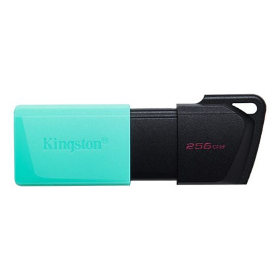 256GB USB3.2 DTXM/256GB Exodia M KINGSTON resmi