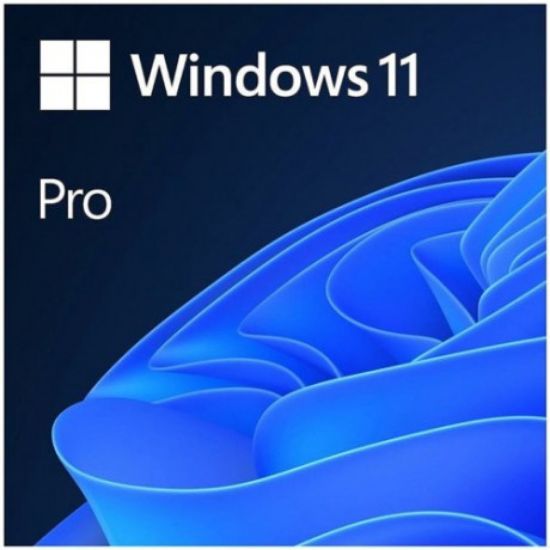 MS WINDOWS 11 PRO 64BIT ENG (OEM) FQC-10528 resmi