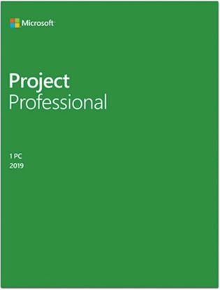 MICROSOFT PROJECT PROFESSIONAL 2021- ESD H30-05939 resmi