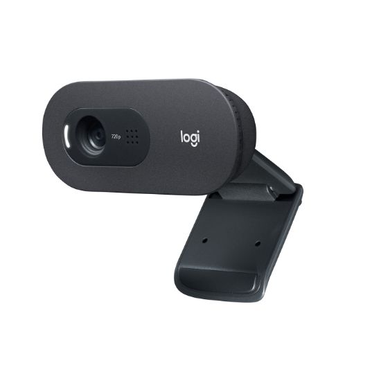 LOGITECH C505 WEBCAM HD - SİYAH 960-001364 resmi