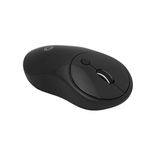 FRISBY FM-252WM 2.4GHZ 1600DPI KABLOSUZ MOUSE SİYAH resmi