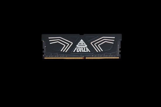 32GB DDR4 3200Mhz CL16 1.35V NMUD432F82-3200DB11 NEOFORZA  resmi