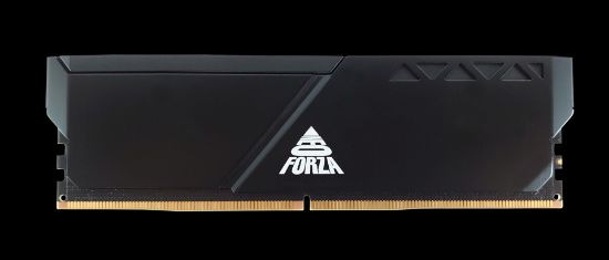 NEOFORZA 32GB DDR5 6400Mhz NMGD516F82-6400FI20 resmi