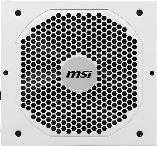 MSI MPG A750GF WHITE 750W 80+ GOLD POWER SUPPLY resmi