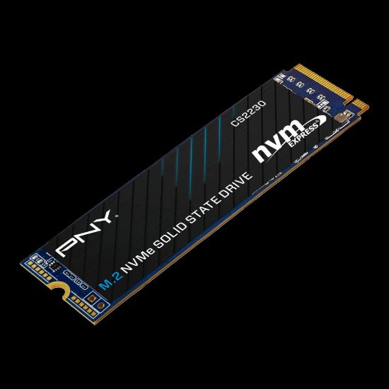 PNY CS2230 1 TB 3300/2600 NVMe PCIe M.2 SSD (M280CS2230-1TB-RB) resmi