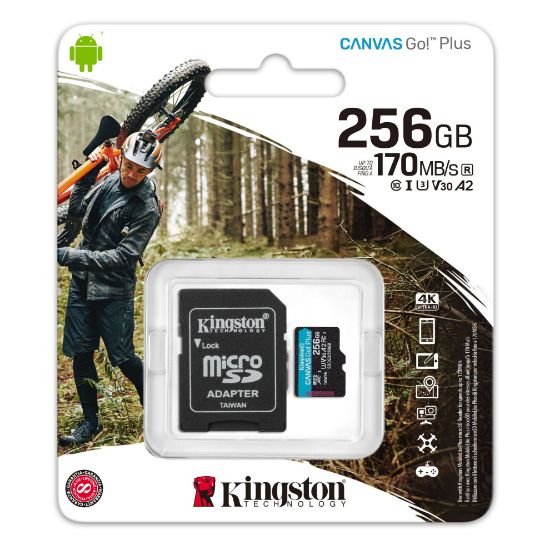 256GB MICRO SD CANAS GO KINGSTON SDCG3/256GB resmi