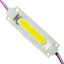 POWERMASTER MODÜL LED 12V OVAL COB KASALI KAPAKSIZ BEYAZ 19X65 MM resmi