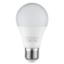 HOROZ ELECTRIC PREMIER-9  9 WATT E27 8400K BEYAZ LED AMPUL resmi