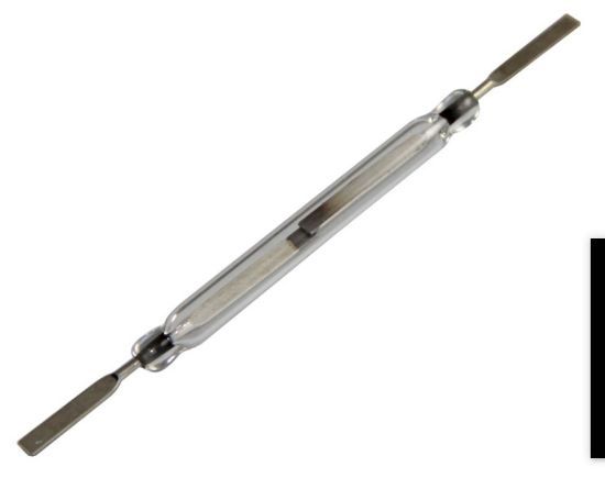 REED SWİTCH 50MM (IC-228) resmi