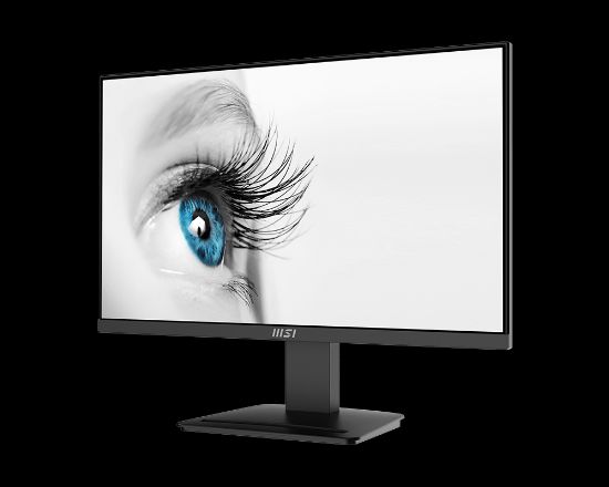 MSI 23.8" PRO MP2412 1920x1080 (FHD) FLAT VA 100HZ resmi