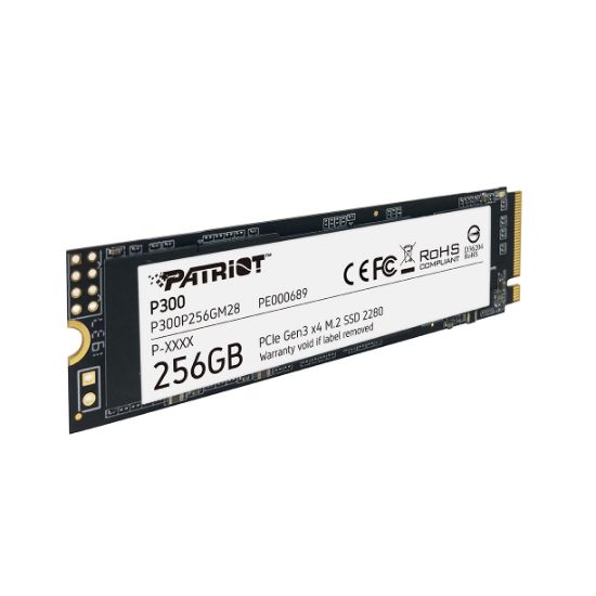 Patriot P300 256GB 1700/1100MB/s NVMe M.2 SSD Disk (P300P256GM28) resmi