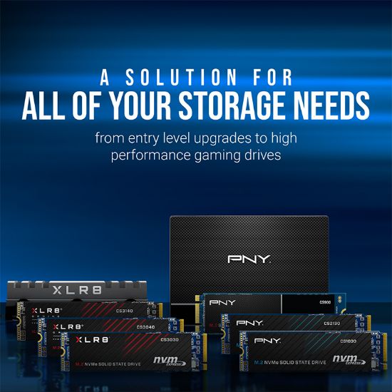 PNY CS900 250GB 535/500MB/s 2,5" SATA3 SSD (SSD7CS900-250-RB) resmi