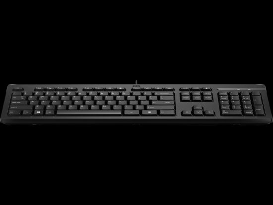 HP 125 WİRED KEYBOARD (266C9AA) resmi