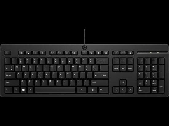 HP 125 WİRED KEYBOARD (266C9AA) resmi