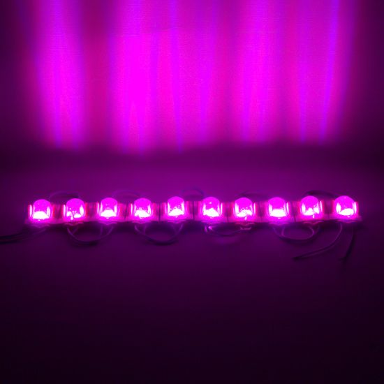 POWERMASTER MODÜL LED 24V 1.4W PEMBE 48X30 MM 2835 resmi