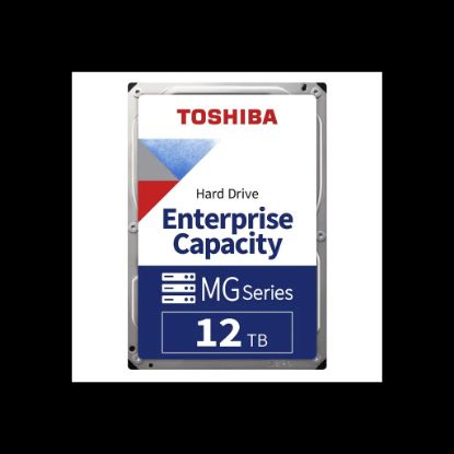 12TB TOSHIBA 7200R MG09 7/24 SATA 256M MG09ACA12TE resmi
