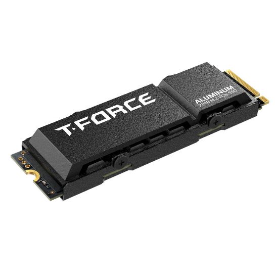 TEAM T-FORCE G70 PRO 1TB 7400/5500MB/s M.2 (TM8FFH001T0C129) resmi