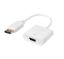 HYTECH HY-DS10 DISPLAY TO HDMI 10 CM ÇEVİRİCİ resmi