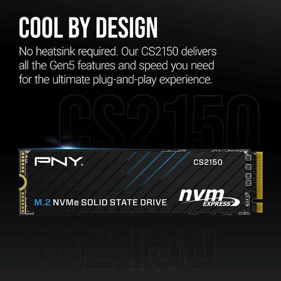 PNY CS2150 2TB  10200/8500 NVMe PCIe Gen5x4 M.2 SSD (M280CS2150-2TB-TB) resmi