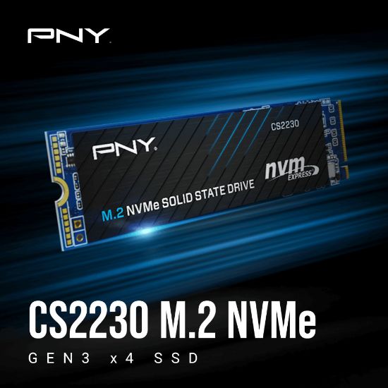 PNY CS2230 2TB 3300/2500 NVMe PCIe M.2 SSD (M280CS2230-2TB-RB) resmi