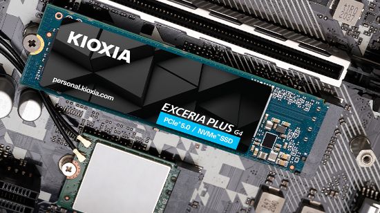 Kioxia Exceria Plus G4 LVD10Z001TG8 1TB Gen5 10000 resmi