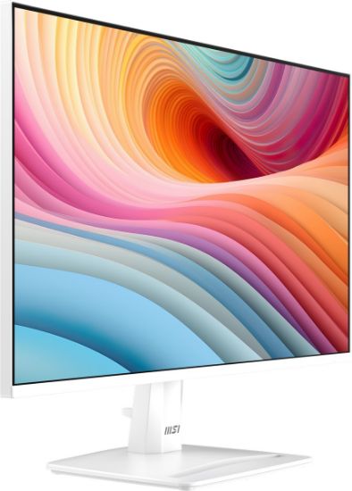 24.5 MSI PRO MP251W E2 IPS FHD 1MS 120HZ  resmi