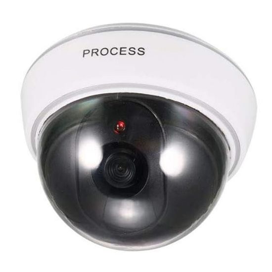 POWERMASTER PM-2001 KIRMIZI LEDLİ MAKET DOME KAMERA resmi