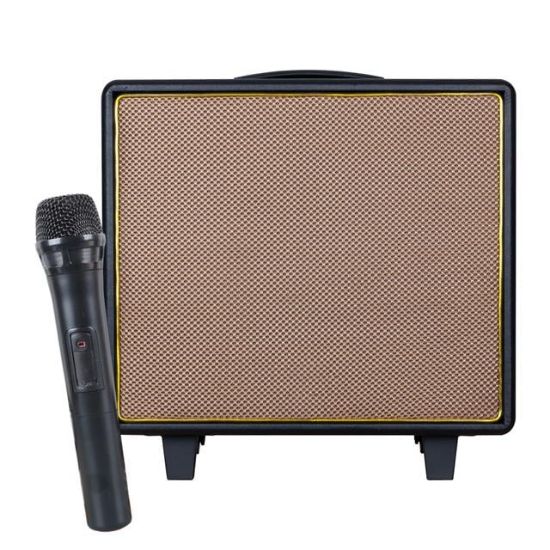 SHILE GT-10 EL MİKROFONLU USB+SD+BT SEYYAR TAŞINABİLİR HOPARLÖR resmi