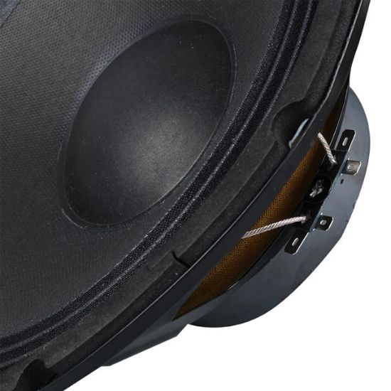 NO-TEL LS1001 250 Watt 10'' 25 CM 8 Ohm Çıplak Oto MID-BASS Hoparlör resmi