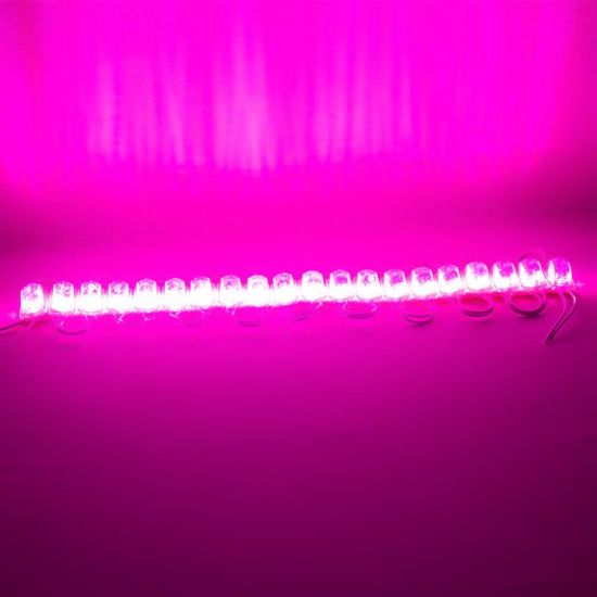 POWERMASTER MODÜL LED 12V 1.5W PEMBE 2835 85X73 MM IP65 240-260LM 180 DERECE resmi