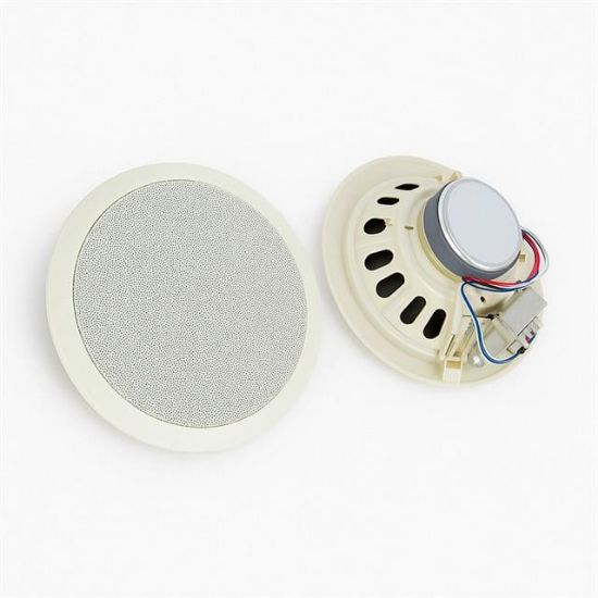 Dexun D-20T 100 Volt 20 CM Trafolu Alçıpan Hoparlör resmi