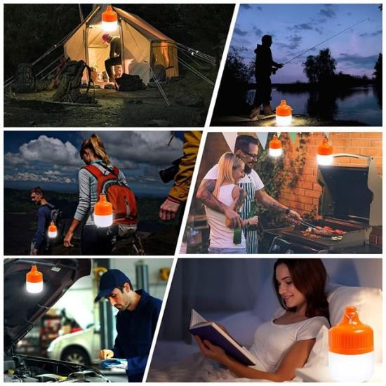 Ledx LN-OR20G 20 Watt TYPE-C Şarjlı Taşınabilir Asma Kancalı Kamp Çadır Lambası 6500K 1200mAh 3 Modlu ABS Malzeme resmi