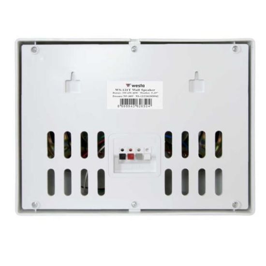 Westa WS-121T Beyaz 12 Cm Çift Yönlü 10 Watt 70-100V Trafolu Sütun Hoparlör resmi