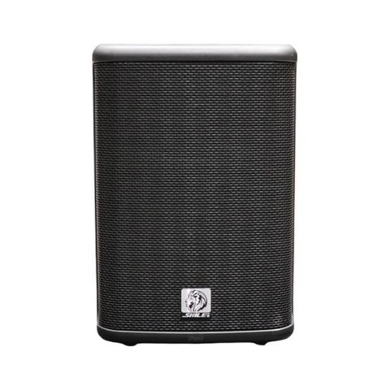 Shile PM-8AU 120W RMS 8" Şarjlı Taşınabilir Aktif Kabin Hoparlör DSP, TWS, Bluetooth, MP3 Destekli resmi
