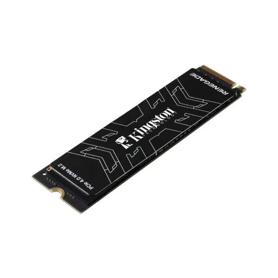 1TB KINGSTON RENEGADE SRNGS/1000G 7300/6000MB/s resmi
