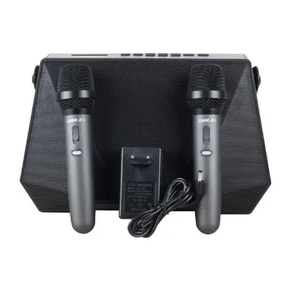 Shile SL-3A İki El Mikrofonlu Kumandalı USB/SD/BT Portatif Hoparlör resmi