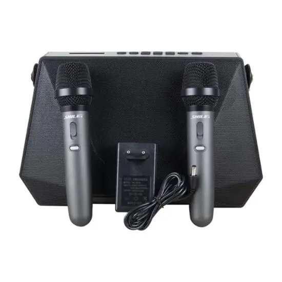 Shile SL-3A İki El Mikrofonlu Kumandalı USB/SD/BT Portatif Hoparlör resmi