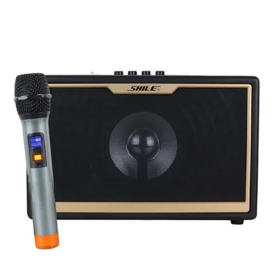 Shile SD-1 El Mikrofonlu Kumandalı USB/SD/BT Portatif Hoparlör resmi