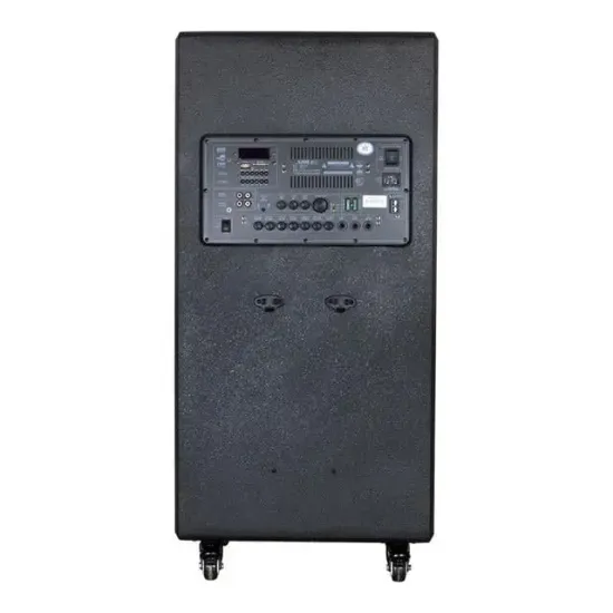 Shile SL-1612B İki El Mikrofonlu-Kumandalı USB/SD/BT/FM Taşınabilir Hoparlör resmi