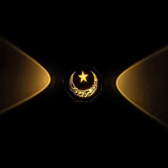 PowerMaster PM-24445 3000K Ayyıldız Hilal Dekoratif LED Duvar Aplik resmi