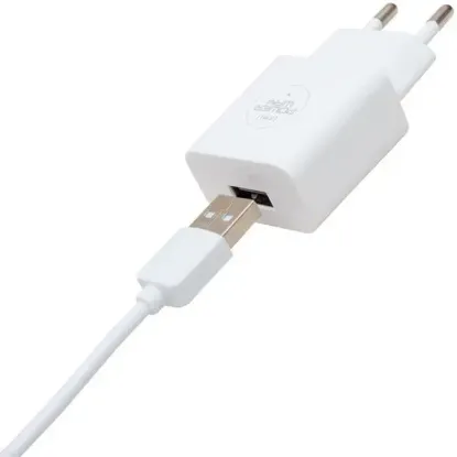 Powerway 5 Volt 2.1 Amper Type C Şarj Aleti - Kablo X-101 resmi