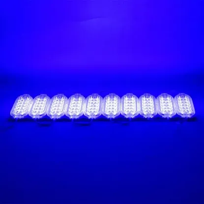 Powermaster 24 Volt 2.4 Watt Tek Renk Mavi 2835 Modül Led resmi