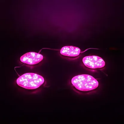 PowerMaster PM-14701 12 Volt 3 Watt Pembe Yanıp Sönen Çakar 6565-2835 Modül Led 65x65x12mm resmi
