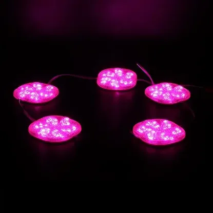 PowerMaster PM-14709 12 Volt 3 Watt Pembe Sabit 6565-2835 Modül Led 65x65x12mm resmi