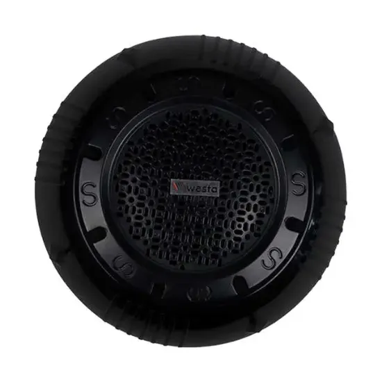 Westa WS-1119TB 13cm Sıva Üstü Siyah Trafolu Tavan Hoparlörü 10 Watt resmi