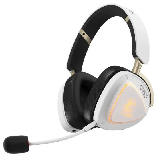 ASUS ROG DELTA II-KJP RGB PS5  resmi