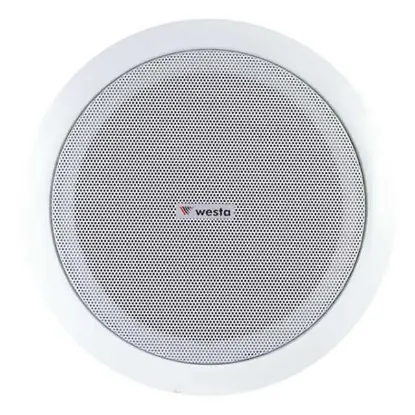 Westa 20 Cm Trafolu 8 ınc Beyaz 30 Watt Alçıpan Hoparlör WS-2035T resmi