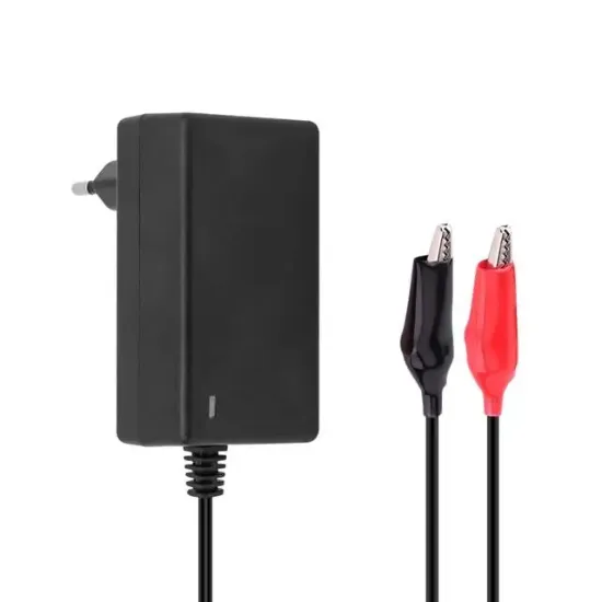 Powermaster 6V - 2A  Akü Şarj Adaptörü resmi