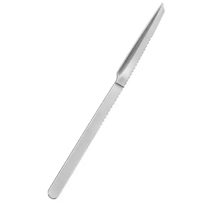 Sunup SN-38806 13 Cm Paslanmaz Çelik Nasır ve Ölü Deri Kazıyıcı resmi